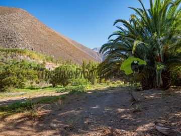 Venta de lindo terreno con cabaña en Diaguitas (Vicuña), Valle del Elqui. $90 millones
