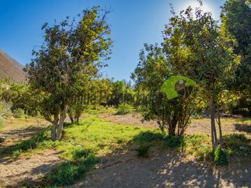 Venta de lindo terreno con cabaña en Diaguitas (Vicuña), Valle del Elqui. $90 millones
