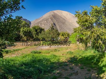 Venta de lindo terreno con cabaña en Diaguitas (Vicuña), Valle del Elqui. $90 millones