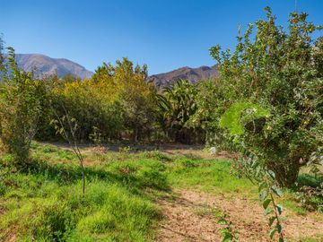 Venta de lindo terreno con cabaña en Diaguitas (Vicuña), Valle del Elqui. $90 millones