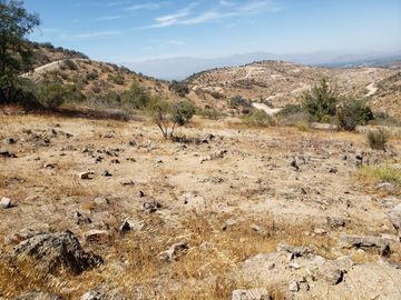 Se vende Parcela con factibilidad de Luz y agua en Coinco