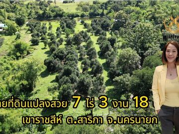 🔥ขายด่วนมากที่ดินทำเลดี นครนายก ใกล้น้ำตกสาริกา 🔥