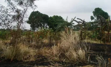 Rush! Lot For Sale Dasmariñas, Cavite (Amuntay Road)
