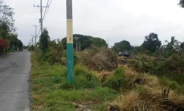Rush! Lot For Sale Dasmariñas, Cavite (Amuntay Road)