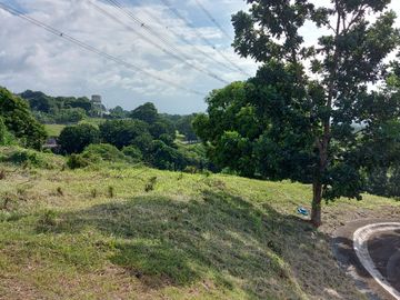 460 sqm Lot for Sale at Manila Southwoods Peak V near Pahara Carmona Cavite