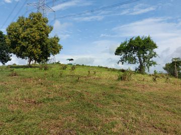 460 sqm Lot for Sale at Manila Southwoods Peak V near Pahara Carmona Cavite