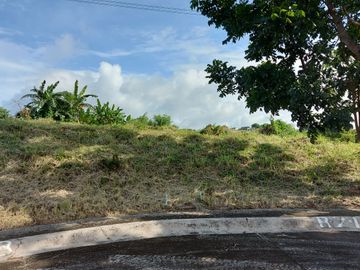 460 sqm Lot for Sale at Manila Southwoods Peak V near Pahara Carmona Cavite