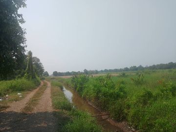 86013 - ขายที่ดิน แปลงใหญ่ ราคาถูก ที่ดิน คลอง 9 หนองเสือ