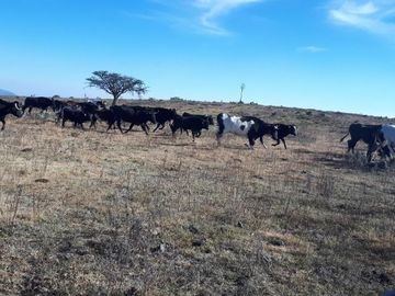 # Casco de Hacienda con Terreno en 420 Has en El Estado de Hidalgo.