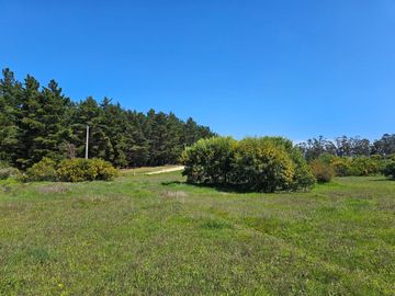 Hacienda Algarrobo, parcelas planas con rol, red de luz y agua
