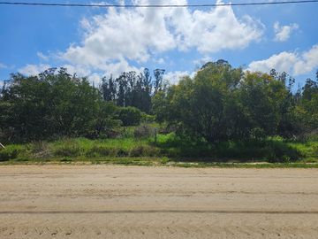 Hacienda Algarrobo, parcelas planas con rol, red de luz y agua