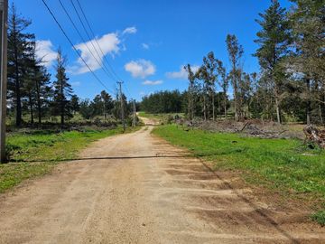 Hacienda Algarrobo, parcelas planas con rol, red de luz y agua