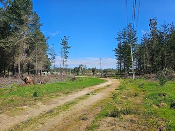 Hacienda Algarrobo, parcelas planas con rol, red de luz y agua