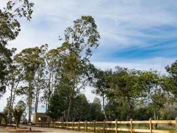Hacienda Algarrobo, parcelas planas con rol, red de luz y agua