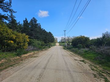 Hacienda Algarrobo, parcelas planas con rol, red de luz y agua