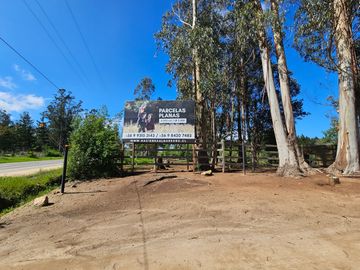 Hacienda Algarrobo, parcelas planas con rol, red de luz y agua