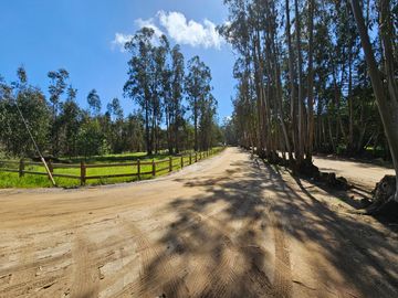 Hacienda Algarrobo, parcelas planas con rol, red de luz y agua