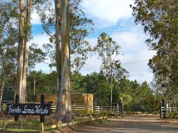 Hacienda Algarrobo, parcelas planas con rol, red de luz y agua