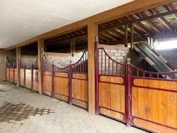 Exclusiva Quinta con Instalaciones Ecuestres en Haras del Bosque, Puebla – Un Refugio de Lujo en la Naturaleza