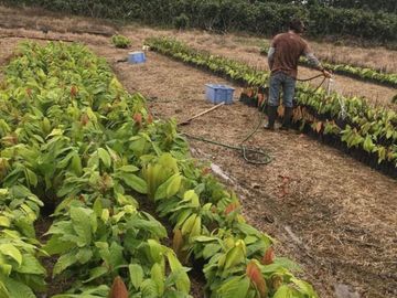 Venta de Hacienda Propiedad con Negocios Rentables