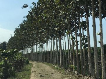 Venta de Hacienda Propiedad con Negocios Rentables