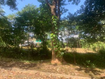 Rush Sale below market value 240 sqm in Eastridge, Angono