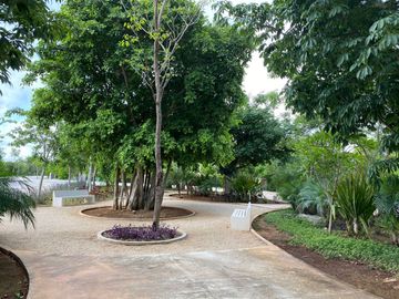 Terreno/Lote en excelente ubicación en esquina y frente area verde, en paseo del country club Mérida Yucatan