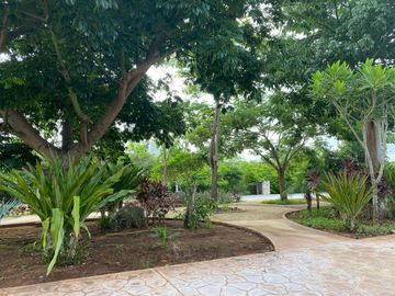 Terreno/Lote en excelente ubicación en esquina y frente area verde, en paseo del country club Mérida Yucatan