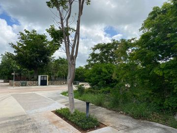 Terreno/Lote en excelente ubicación en esquina y frente area verde, en paseo del country club Mérida Yucatan