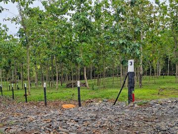 Finca18 de 7.313m2 VISTA LAGO Financiada SIN INTERES Desde $250.