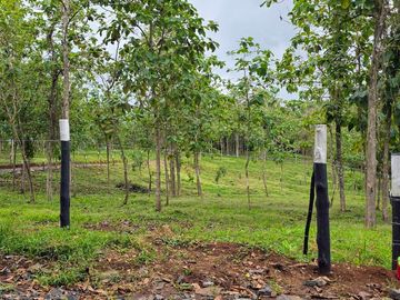 Finca18 de 7.313m2 VISTA LAGO Financiada SIN INTERES Desde $250.
