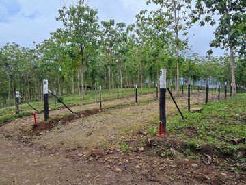 Finca18 de 7.313m2 VISTA LAGO Financiada SIN INTERES Desde $250.