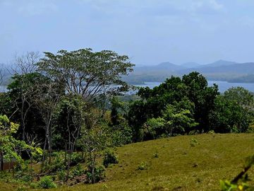 Finca18 de 7.313m2 VISTA LAGO Financiada SIN INTERES Desde $250.