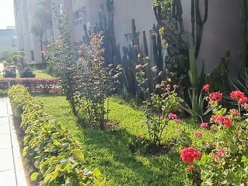 Alquiler departamento cerca a San isidro