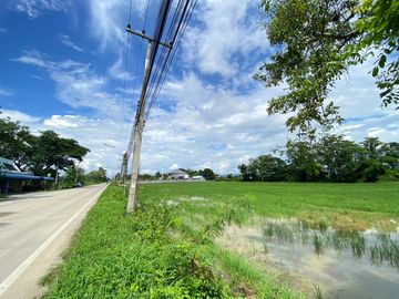 14-3-82 Rai of land for sale near San Kamphaeng