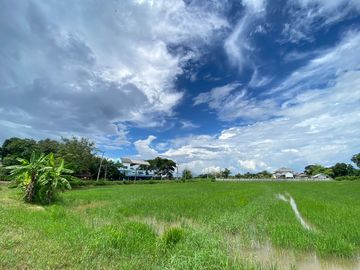 14-3-82 Rai of land for sale near San Kamphaeng