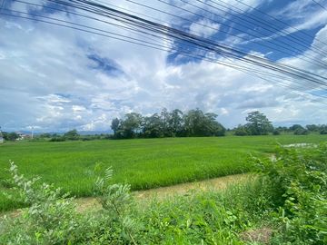 14-3-82 Rai of land for sale near San Kamphaeng
