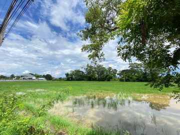 14-3-82 Rai of land for sale near San Kamphaeng