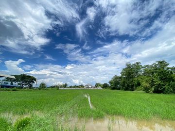 14-3-82 Rai of land for sale near San Kamphaeng