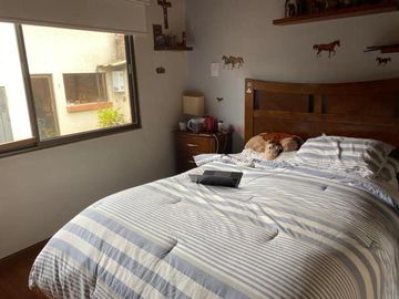 Excelente propiedad en venta con 976m2T Calle Los Álamos y Av. Ordóñez Lasso