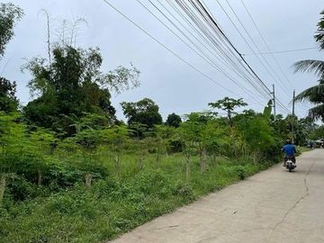 For Sale 22,511 Sqm Lot in Pobalacion, Compostela Cebu