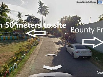 For Sale 22,511 Sqm Lot in Pobalacion, Compostela Cebu