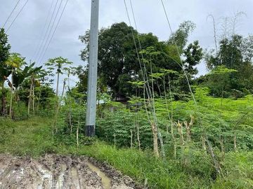 For Sale 22,511 Sqm Lot in Pobalacion, Compostela Cebu