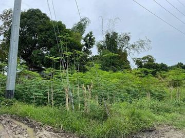 For Sale 22,511 Sqm Lot in Pobalacion, Compostela Cebu
