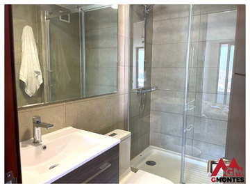 Venta Departamento Providencia 4D-3B-3E Inés de Suárez