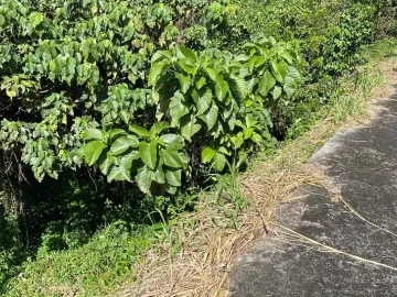 RUSH!!! CANYON WOOD RES RESORT near TAGAYTAY, LAUREL BATANGAS (GT)