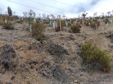 SE VENDE TERRENO LADERA DE CERRO LA BATALLA ,CALERA DE TANGO DE 5.500 M2 EN 1.000  UF
