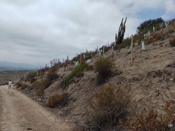 SE VENDE TERRENO LADERA DE CERRO LA BATALLA ,CALERA DE TANGO DE 5.500 M2 EN 1.000  UF