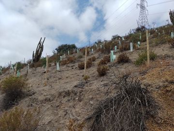 SE VENDE TERRENO LADERA DE CERRO LA BATALLA ,CALERA DE TANGO DE 5.500 M2 EN 1.000  UF