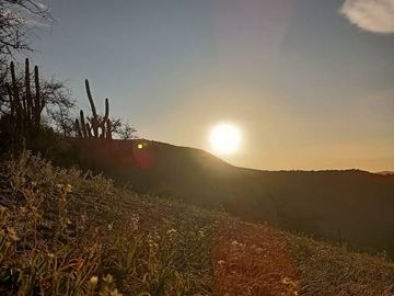 SE VENDE TERRENO LADERA DE CERRO LA BATALLA ,CALERA DE TANGO DE 5.500 M2 EN 1.000  UF